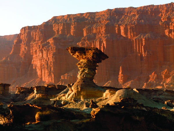Hongo en Ischigualasto Valle Fertil Hongo en Ischigualasto Valle Fertil